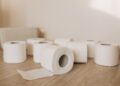 ¿Qué utilizaban las antiguas civilizaciones de la Tierra en lugar del papel higiénico?