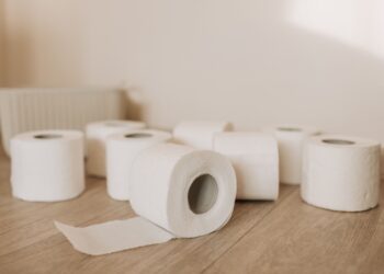 ¿Qué utilizaban las antiguas civilizaciones de la Tierra en lugar del papel higiénico?