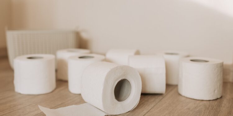 ¿Qué utilizaban las antiguas civilizaciones de la Tierra en lugar del papel higiénico?