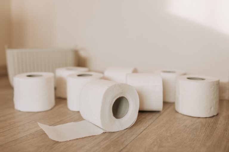 ¿Qué utilizaban las antiguas civilizaciones de la Tierra en lugar del papel higiénico?