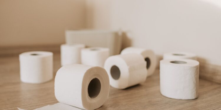Adiós al papel higiénico: la nueva tendencia en 2026 para los baños es mucho más limpia y está conquistando hogares de todo el mundo