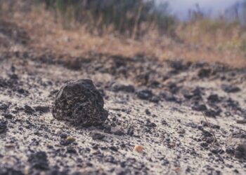Científicos hacen descubrimiento del siglo