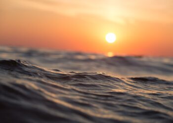 Científicos midieron temperatura del mar