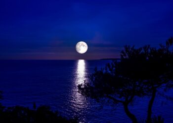 Cómo preparar agua luna llena