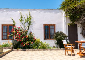 Adiós a las paredes blancas en el patio de casa: la nueva tendencia para 2026 es más elegante y práctica