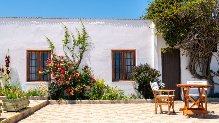 Adiós a las paredes blancas en el patio de casa: la nueva tendencia para 2026 es más elegante y práctica