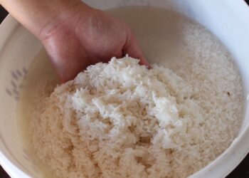 Tardé mucho tiempo en entender por qué no debería tirar el agua utilizada para lavar el arroz