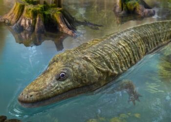 El animal de casi 6 metros que logró dominar las aguas hace 240 millones de años