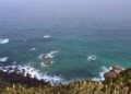 Exploraron las profundidades del Atlántico y descubrieron que un ser vivo dado por muerto hace 60 años ha resucitado