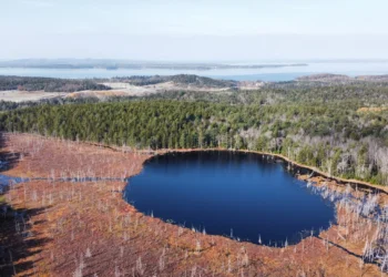Compró una isla abandonada construyó