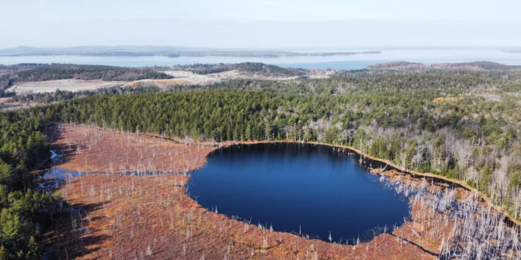 Compró una isla abandonada construyó