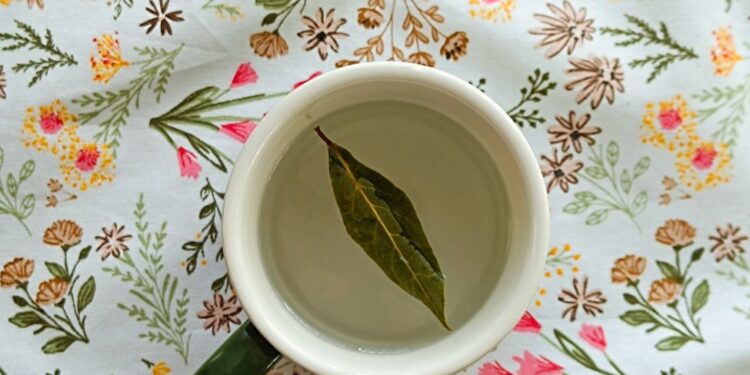 Hervir hojas laurel con vinagre
