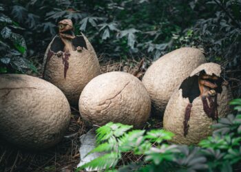 Ciencia recrea los bosques jurásicos