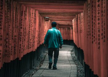 Profunda lección del proverbio japonés