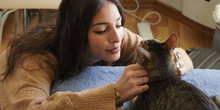 Los veterinarios coinciden hablar con
