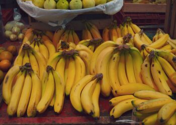 Frigorífico mucho frutera mejor lugar