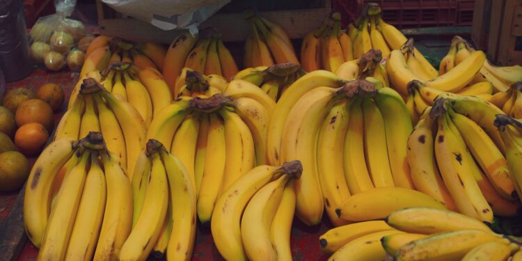 Frigorífico mucho frutera mejor lugar