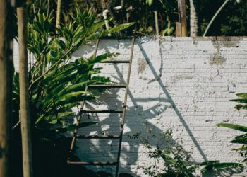Tienes una escalera madera vieja