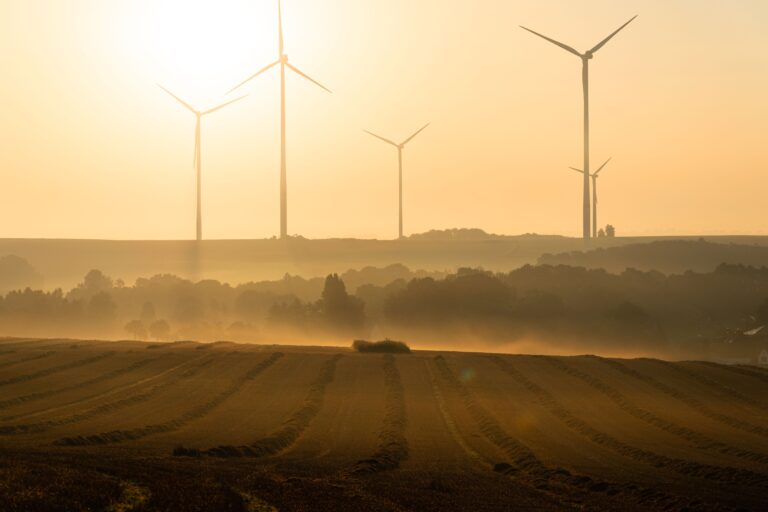 Unión Europea confirma la creación de un nuevo plan contra las olas de calor después de un verano letal