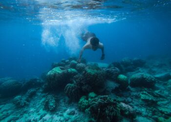 Mientras la mayoría de nosotros no puede permanecer ni 2 minutos bajo el agua, los habitantes de este pueblo pasan hasta 5 horas al día buceando en el mar