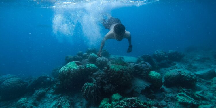 Mientras la mayoría de nosotros no puede permanecer ni 2 minutos bajo el agua, los habitantes de este pueblo pasan hasta 5 horas al día buceando en el mar