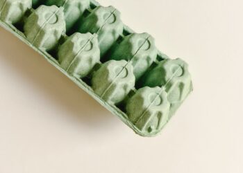 Si tienes una caja de huevos vacía en casa, tienes un tesoro: 3 ideas sencillas para reutilizarla en la organización