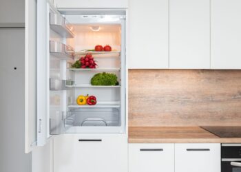 El reinado de los refrigeradores llegó a su fin: una invención australiana conserva los alimentos sin gastar energía