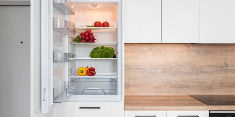 El reinado de los refrigeradores llegó a su fin: una invención australiana conserva los alimentos sin gastar energía