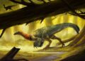 China descubre un dinosaurio "anatómicamente extraño" que parece salido de una película