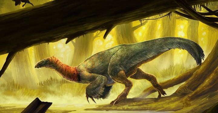 China descubre un dinosaurio "anatómicamente extraño" que parece salido de una película
