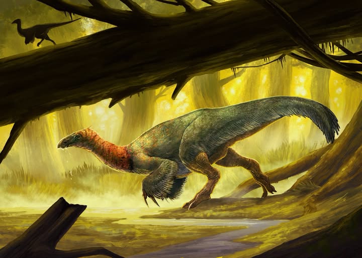 China descubre un dinosaurio "anatómicamente extraño" que parece salido de una película