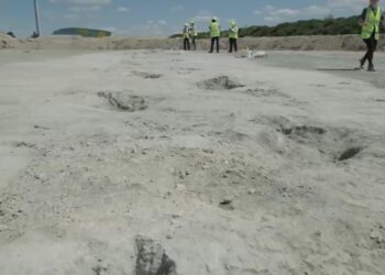 Marcas de pisadas en una cantera revelan el camino recorrido por gigantes hace 166 millones de añosen una cantera revelan el camino recorrido por gigantes hace 166 millones de años