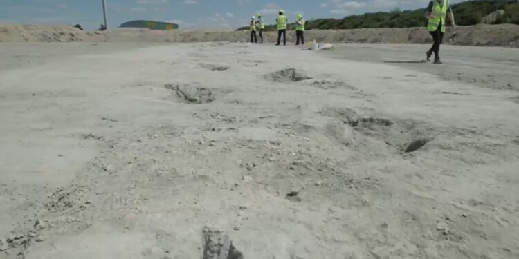 Marcas de pisadas en una cantera revelan el camino recorrido por gigantes hace 166 millones de añosen una cantera revelan el camino recorrido por gigantes hace 166 millones de años