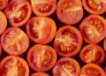 12,5 millones de semillas de tomate viajaron al espacio y pasaron casi 6 años lejos de la Tierra antes de regresar
