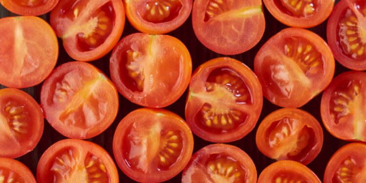 12,5 millones de semillas de tomate viajaron al espacio y pasaron casi 6 años lejos de la Tierra antes de regresar