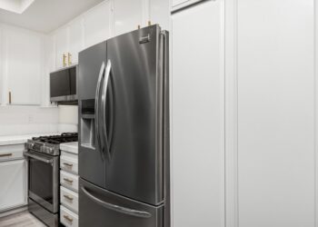 Adiós refrigerador conocemos invento cocina
