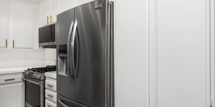 Adiós refrigerador conocemos invento cocina