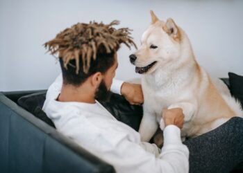 ¿Qué significa para la psicología cuando una persona ama a los perros?