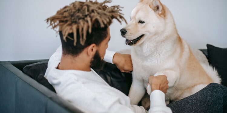 ¿Qué significa para la psicología cuando una persona ama a los perros?