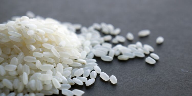 Tardé mucho tiempo en entender por qué no debería guardar el arroz en su propia bolsa