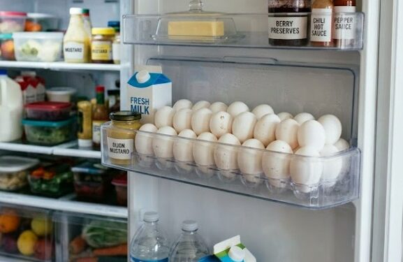 Tardé mucho tiempo en entender por qué no debería guardar los huevos en la puerta del refrigerador