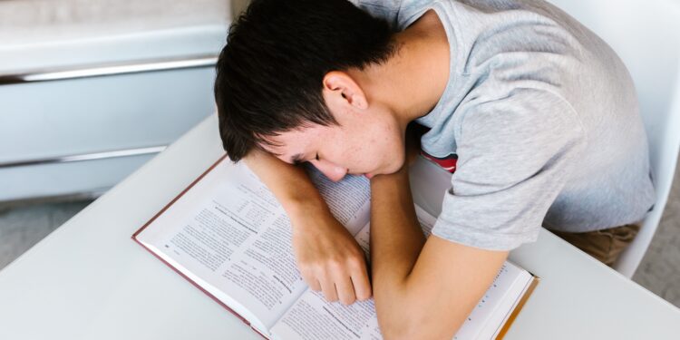 Estudiar dos horas al día es bueno para absorber conocimientos, pero dormir podría ser aún mejor para el aprendizaje