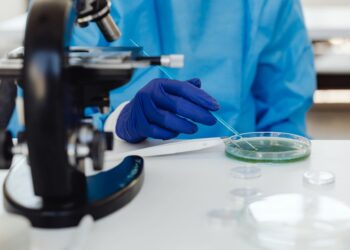 Científicos crean bacterias capaces aumentar