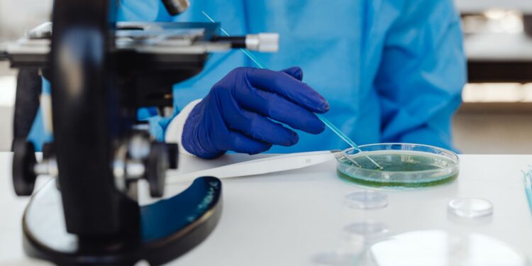 Científicos crean bacterias capaces aumentar