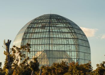 Científicos decidieron encerrar personas una