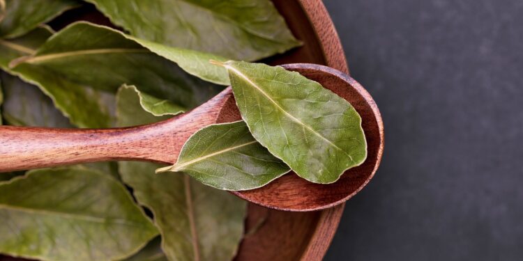 Colocar una hoja laurel seca