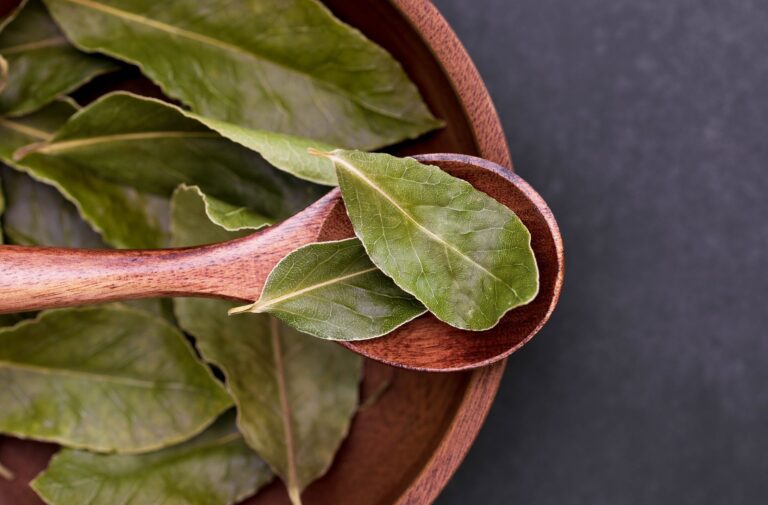 Colocar una hoja laurel seca