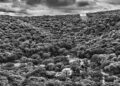 Una pareja planta 2,7 millones de árboles en una zona devastada y, 25 años después, el paisaje cambia por completo