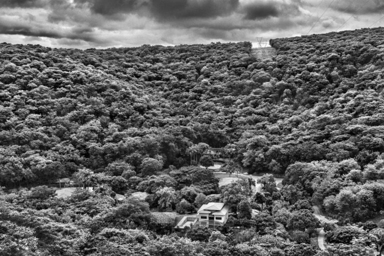Una pareja planta 2,7 millones de árboles en una zona devastada y, 25 años después, el paisaje cambia por completo