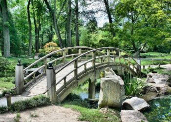 Proverbio japonés semana fortalecer confianza